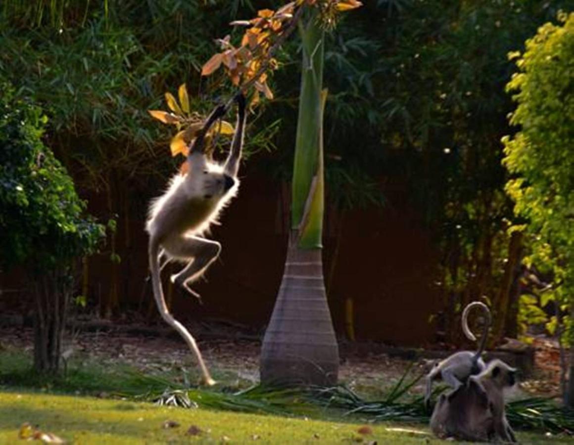 Vannraj Resort And Spa Khawāsa Buitenkant foto